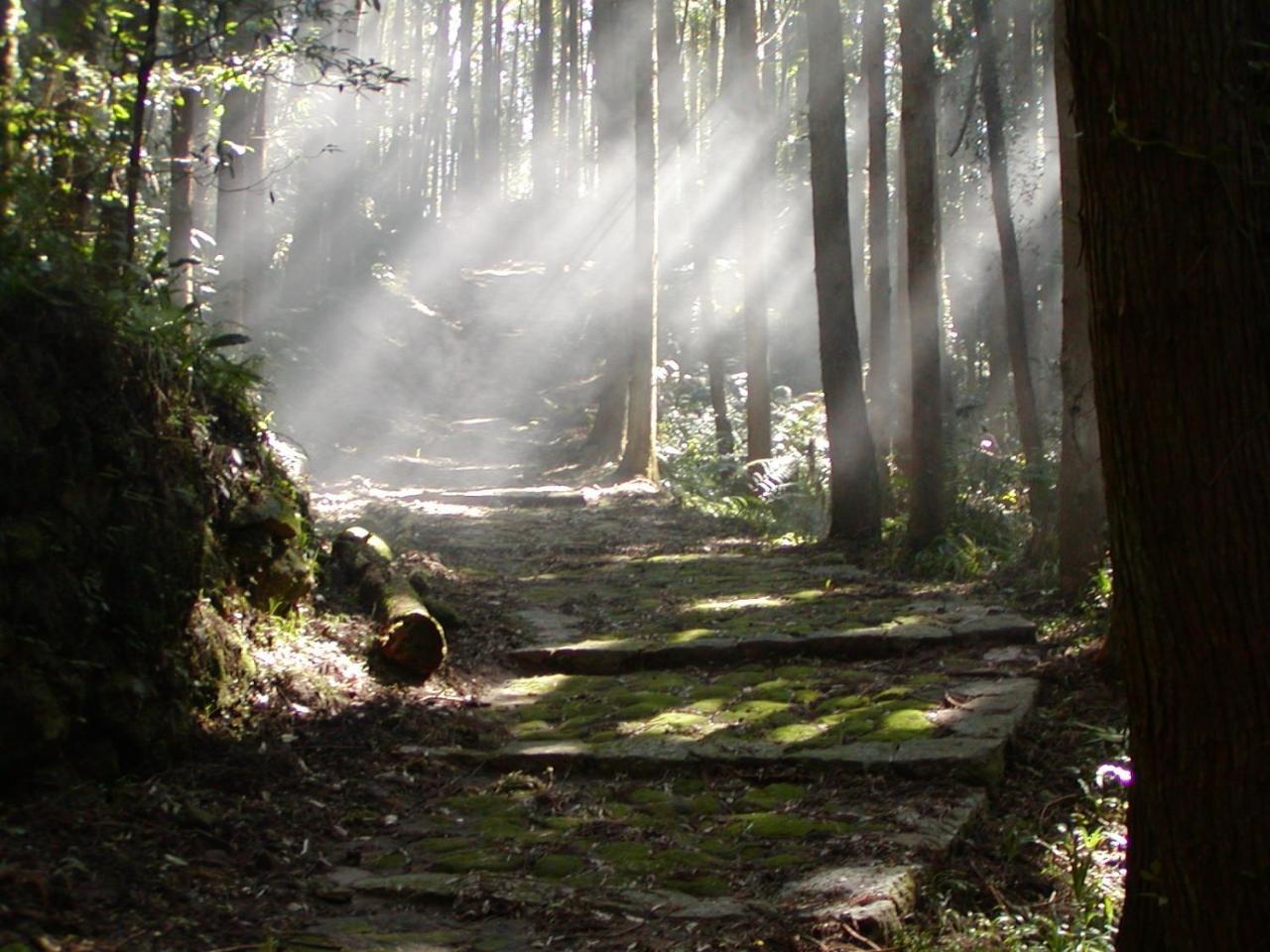 Hotel Nami Kumano Bagian luar foto